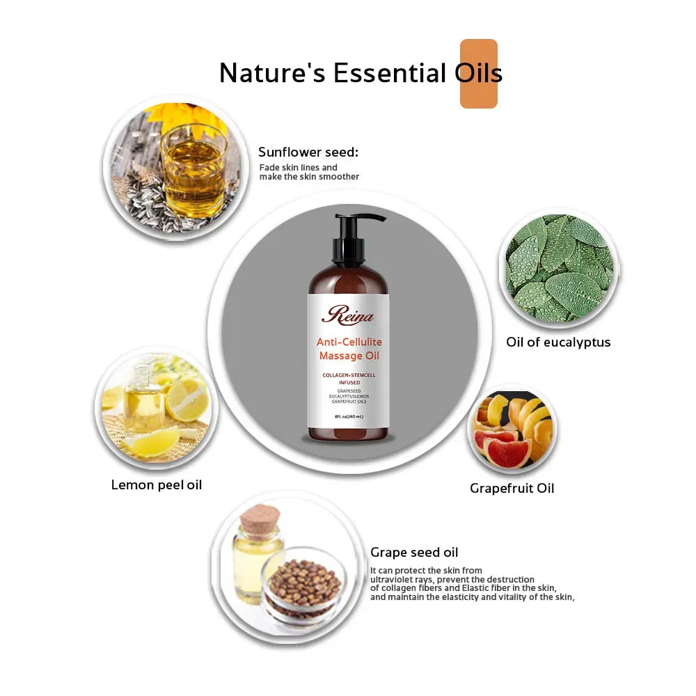 China Fabricação Venda Quente Baixo MOQ OEM/ODM Recipiente de embalagem de cosméticos Frasco de perfume de vidro Frasco de óleo essencial de massagem com tampa conta-gotas de plástico